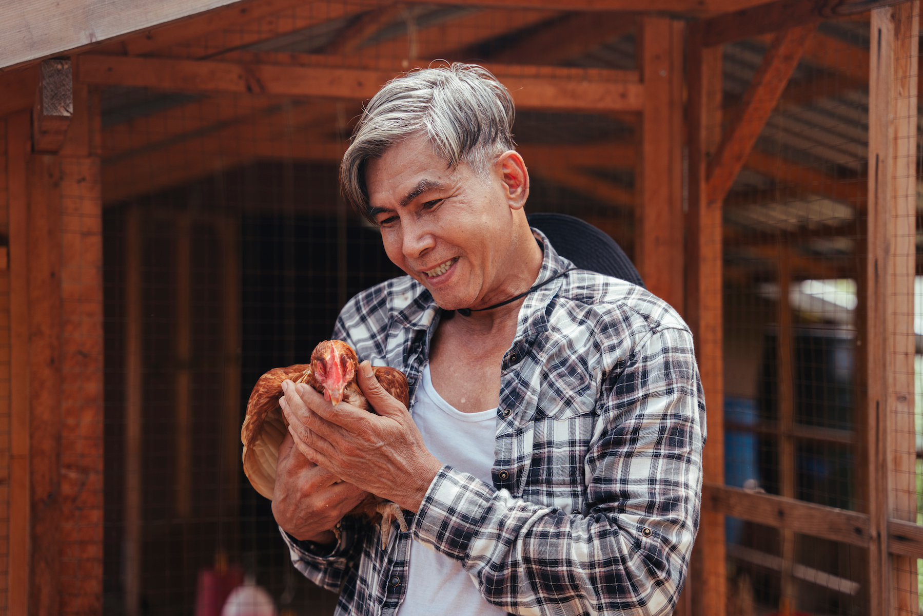 Therapy Chickens – Mother Earth News